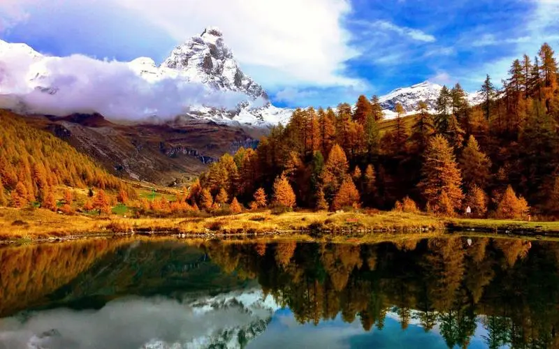 信息化高质量全自动